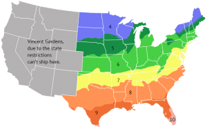 USA Zone & shipping chart - Vincent Gardens